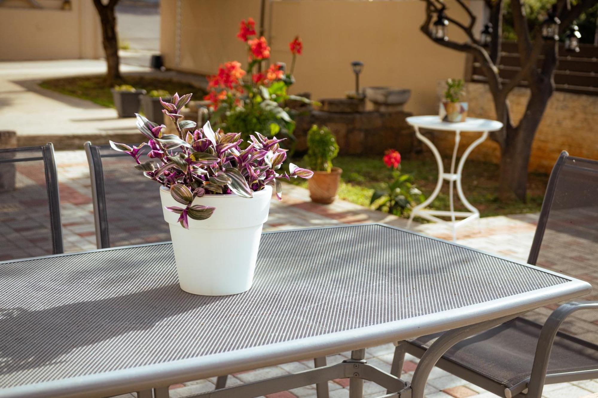 Plakoures Home Kounoupidhiana Bagian luar foto